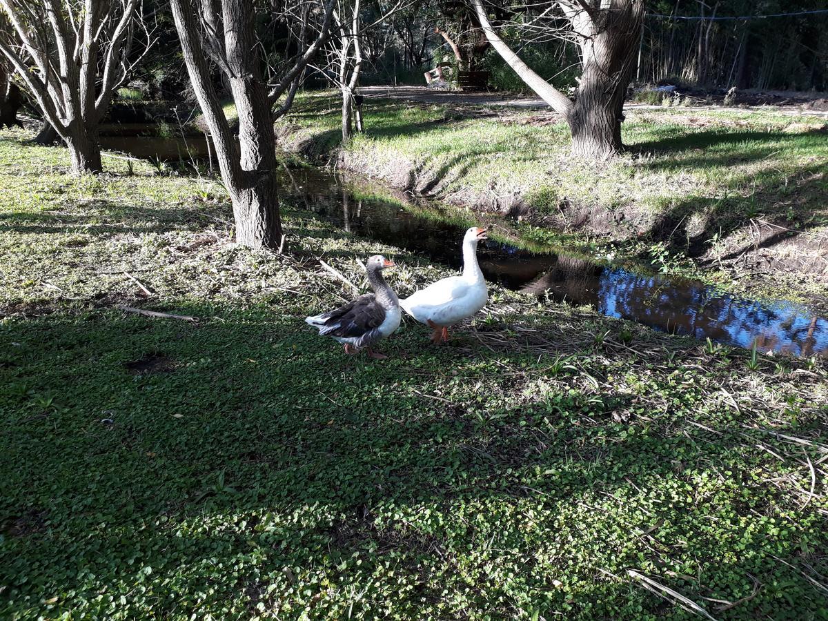 Chacra La Escondida Villa Colonia del Sacramento Bagian luar foto