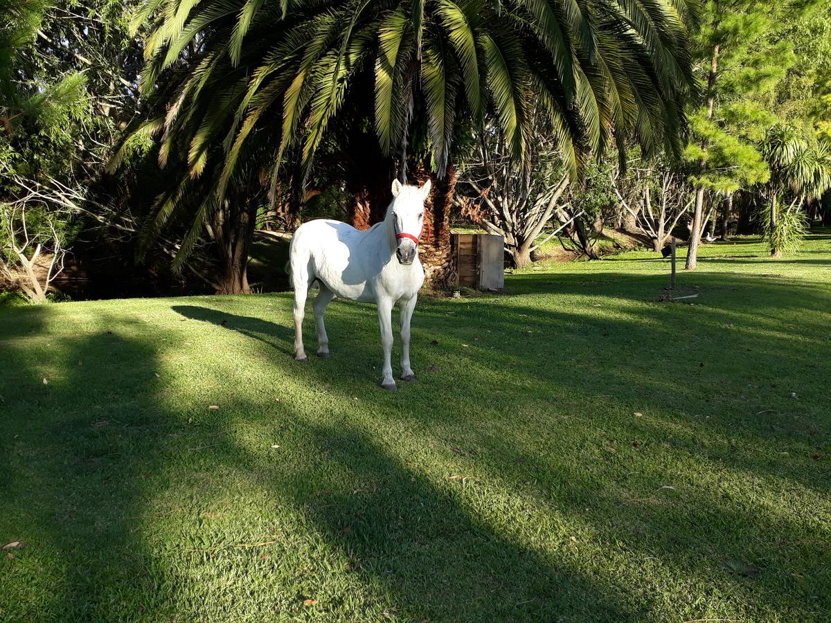 Chacra La Escondida Villa Colonia del Sacramento Bagian luar foto