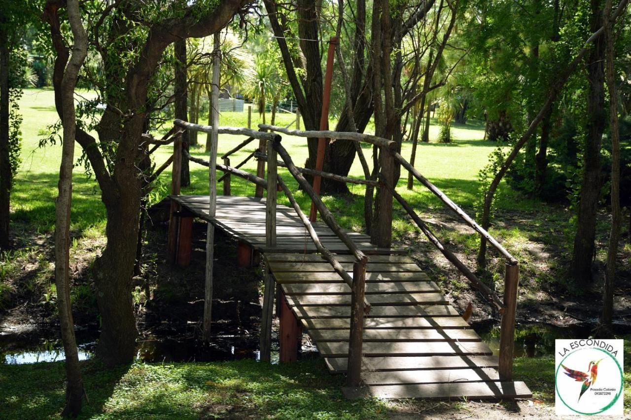 Chacra La Escondida Villa Colonia del Sacramento Bagian luar foto